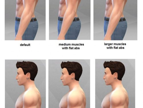 Bigger Chest/Ab Muscles for males