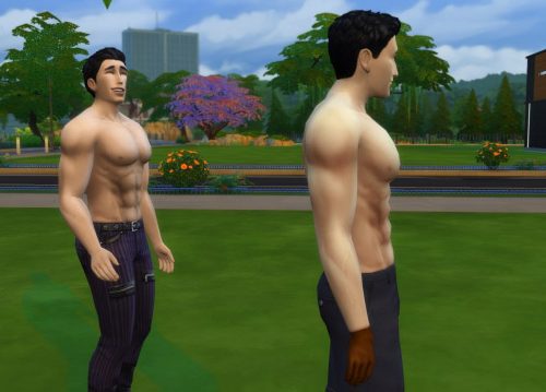 Bigger Chest/Ab Muscles for males