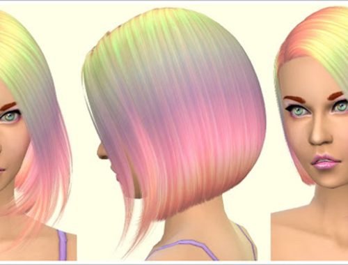 Parrot Hair