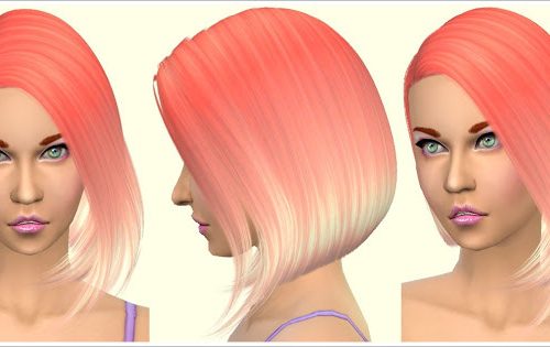 Parrot Hair
