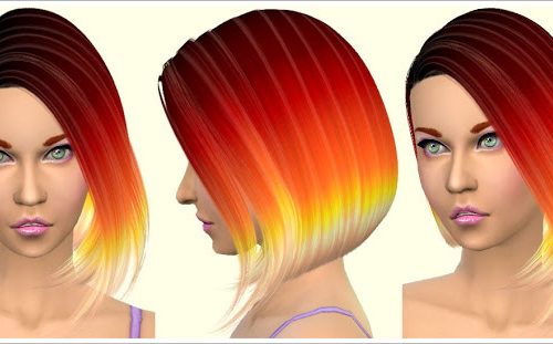 Parrot Hair