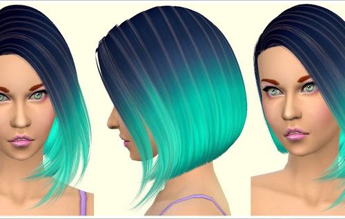 Parrot Hair