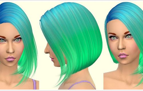 Parrot Hair