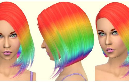 Parrot Hair