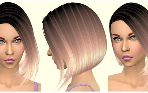 Parrot Hair