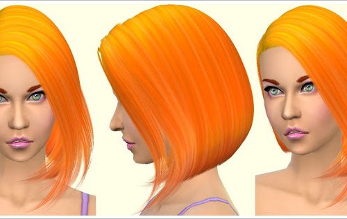 Parrot Hair