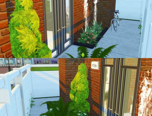 Urban House