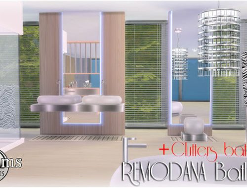 Remodana Bathroom + Clutters