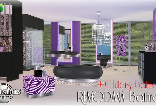 Remodana Bathroom + Clutters