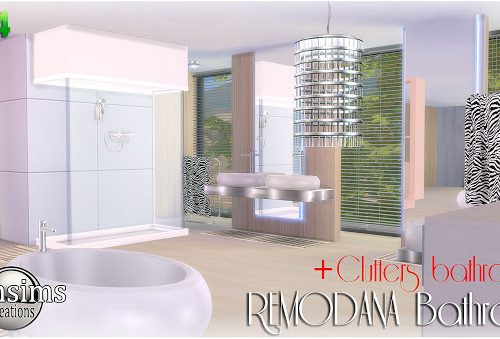 Remodana Bathroom + Clutters