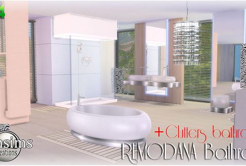 Remodana Bathroom + Clutters