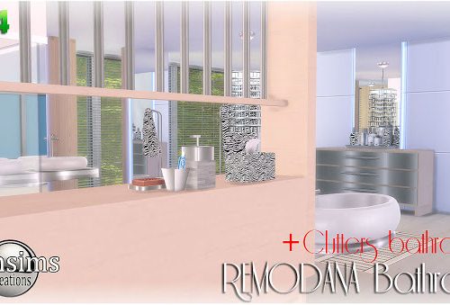 Remodana Bathroom + Clutters