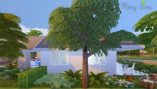 Little Sweet House