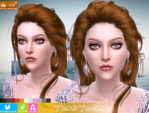 J209 Jackdaw hair (Pay)