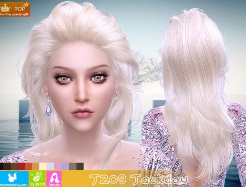 J209 Jackdaw hair (Pay)