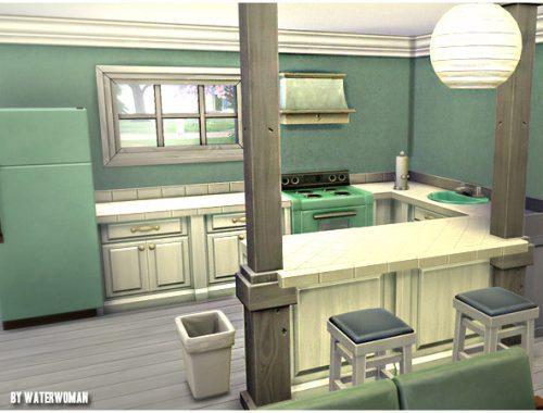 Start it up! starter house