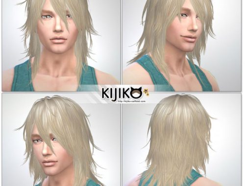 Shaggy Hair M TS3 to TS4 conversion
