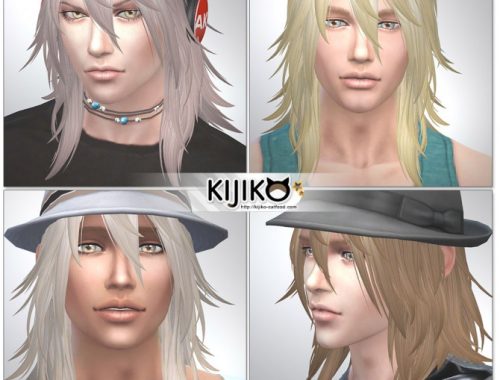 Shaggy Hair M TS4 edition