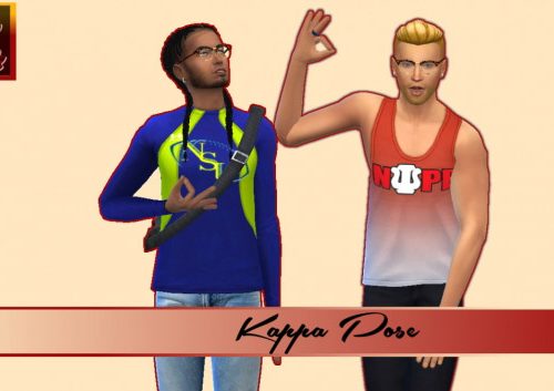 NPHC D9 FratandSorority Poses