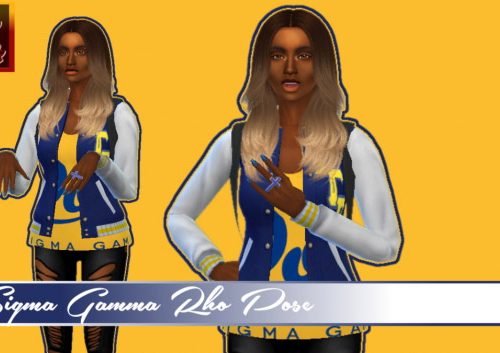 NPHC D9 FratandSorority Poses