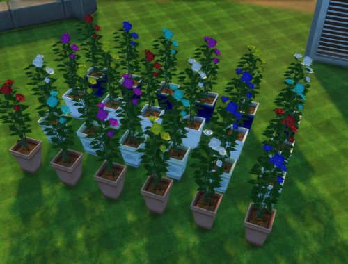 Pot Flowers from Sims 2