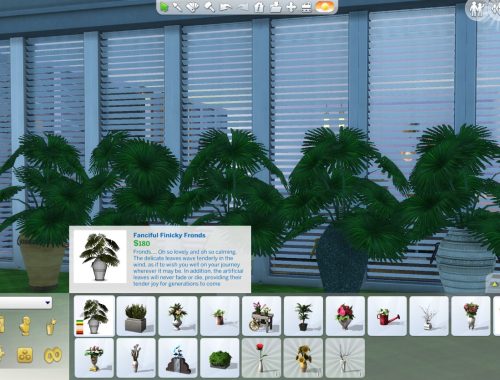 The Fanciful Finicky Fronds