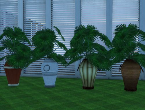 The Fanciful Finicky Fronds