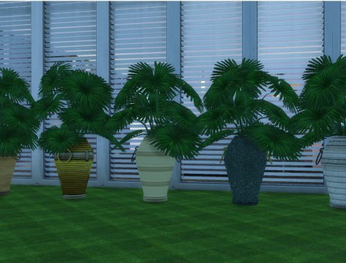 The Fanciful Finicky Fronds