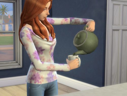 Functional Tea Pot
