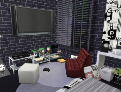 Eclectic Young Home