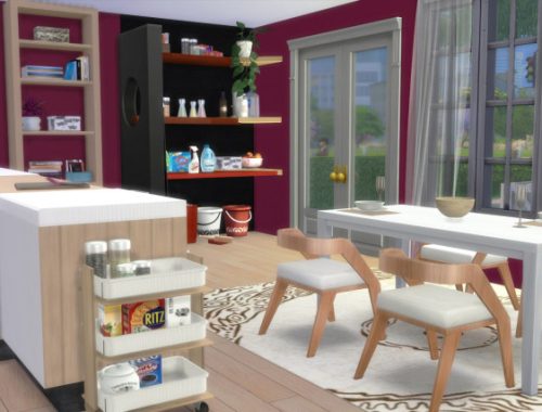 Eclectic Young Home