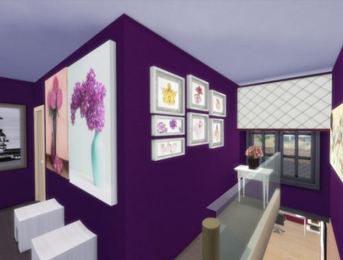 Eclectic Young Home