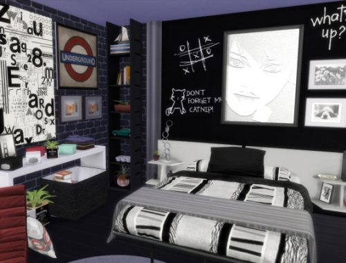 Eclectic Young Home