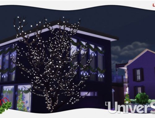 Modern Christmas Special House