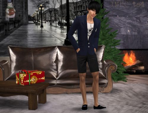 Male Shoes 01
