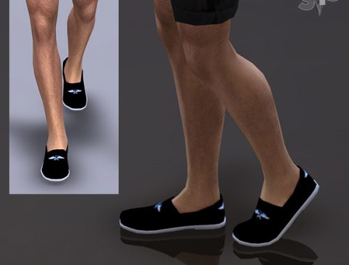 Male Shoes 01