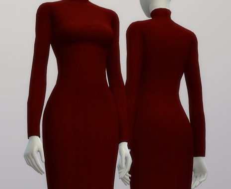 Turtle-neck sweater dress
