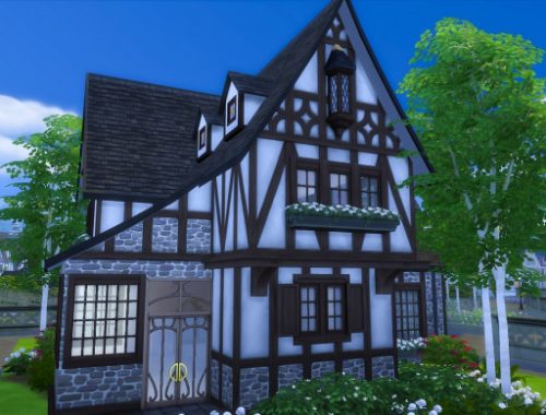 The Burrow  A Tudor House for Windenburg