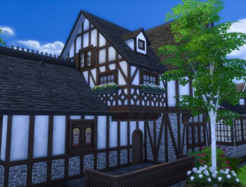 The Burrow  A Tudor House for Windenburg