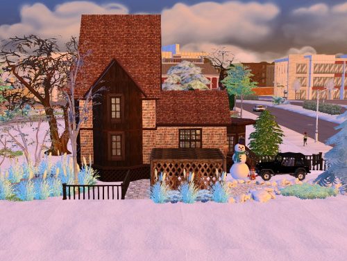 Snow valley house