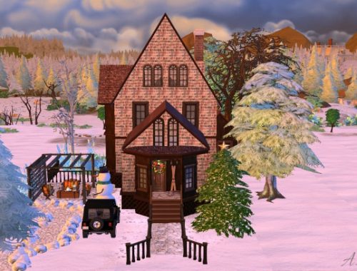 Snow valley house