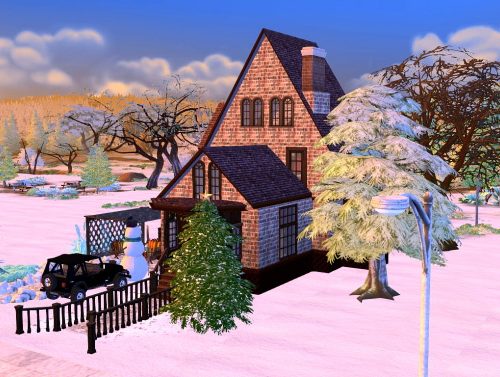 Snow valley house