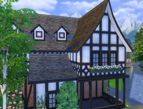 The Mason Tudor
