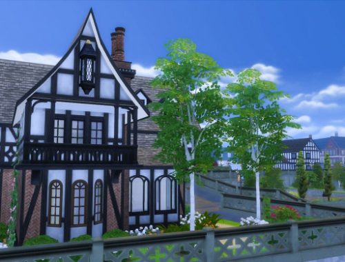 The Mason Tudor