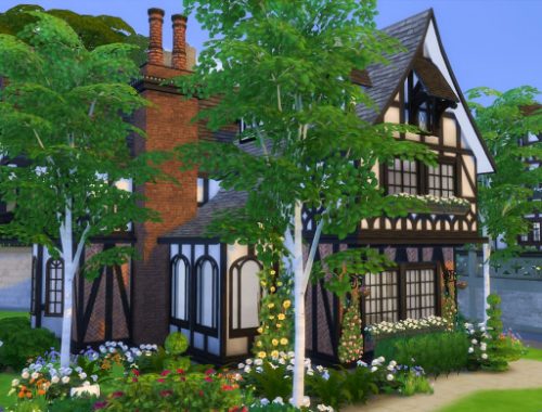 The Mason Tudor