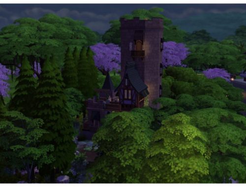The Wizards Tower and Enchanted Forest (No CC)