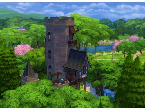 The Wizards Tower and Enchanted Forest (No CC)
