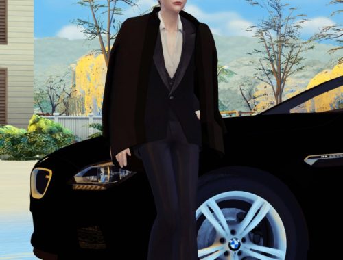 Car Related Poses Set pt2: Car Show Models Poses Set
