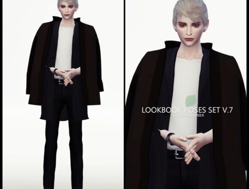 LOOKBOOK V.7 POSES SET