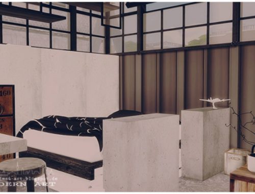 Modern Art house